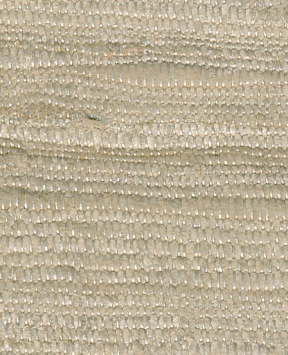 AMBROSIA Khaki