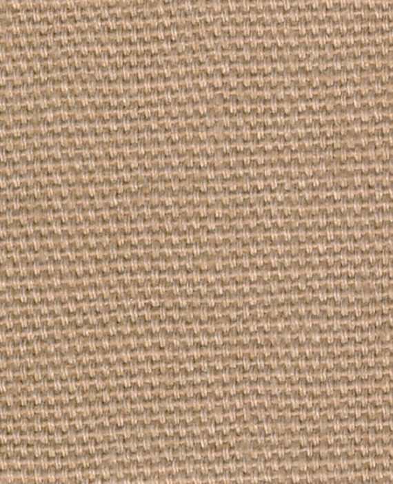 CATAMARAN Khaki