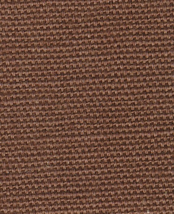 CATAMARAN Mocha