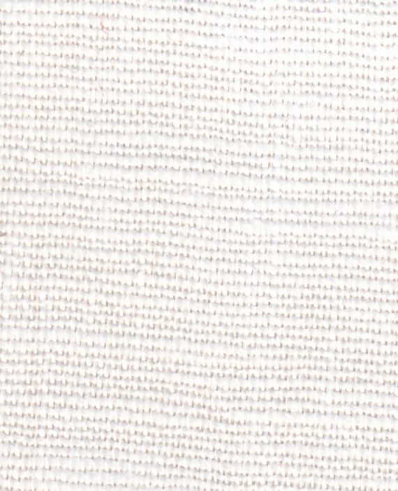 EMPRESS Optical White