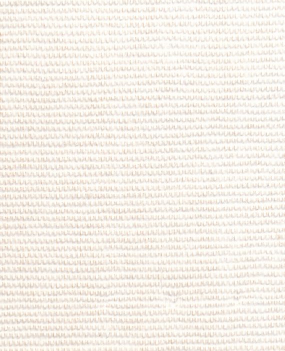 MACAO White