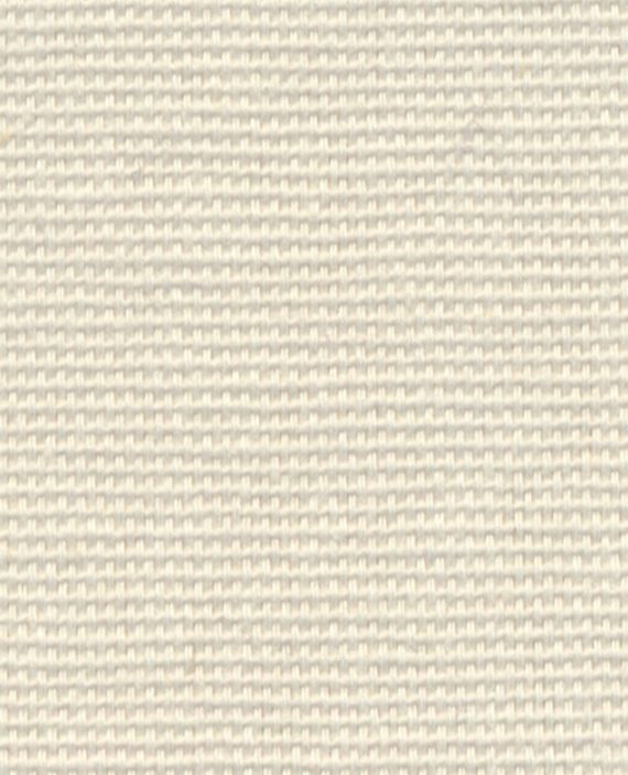 CATAMARAN Bone