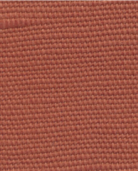 DUBLIN Cinnamon
