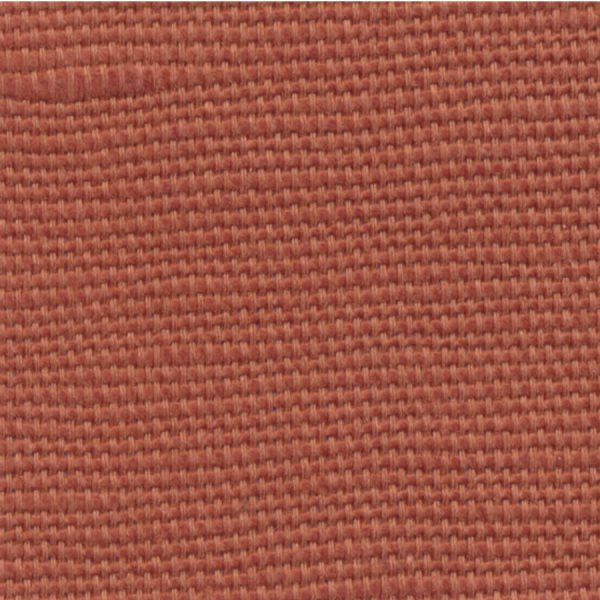 DUBLIN Cinnamon