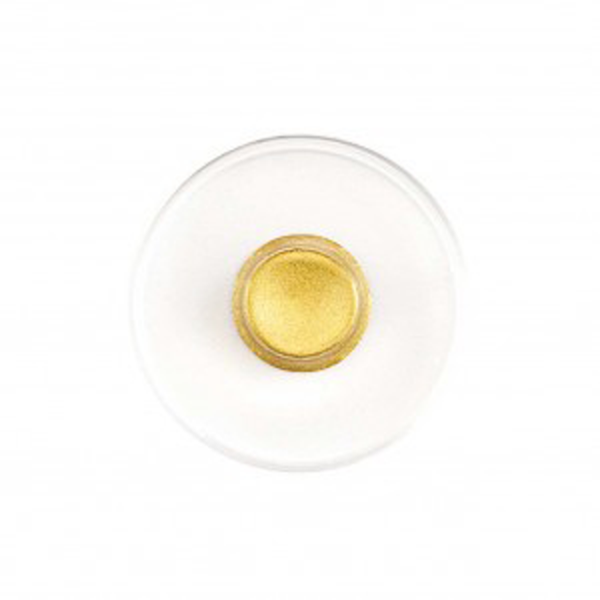 23.75 Karat Shell Gold